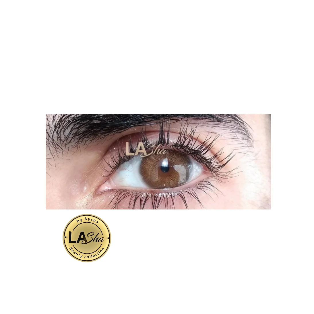 || LAsha|| عدسة زينة براون ملونة من لاشا الأصلية
